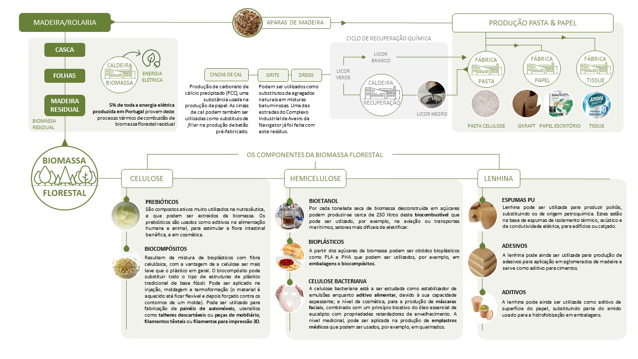 Madeira (Propriedades, Processos de Fabricação e Aplicações)